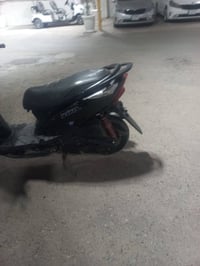 ثعلب • نظيف • الحريه