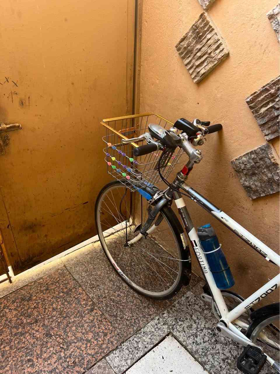 السلام عليكم بيسكل نضيف وجديد للبيع حجم 27 رياضي زين وما ناقصه اي شي السعر 125 وبي مجال مكان كربلاء حي العباس شراي تصل *********** كربلاء, العراق
