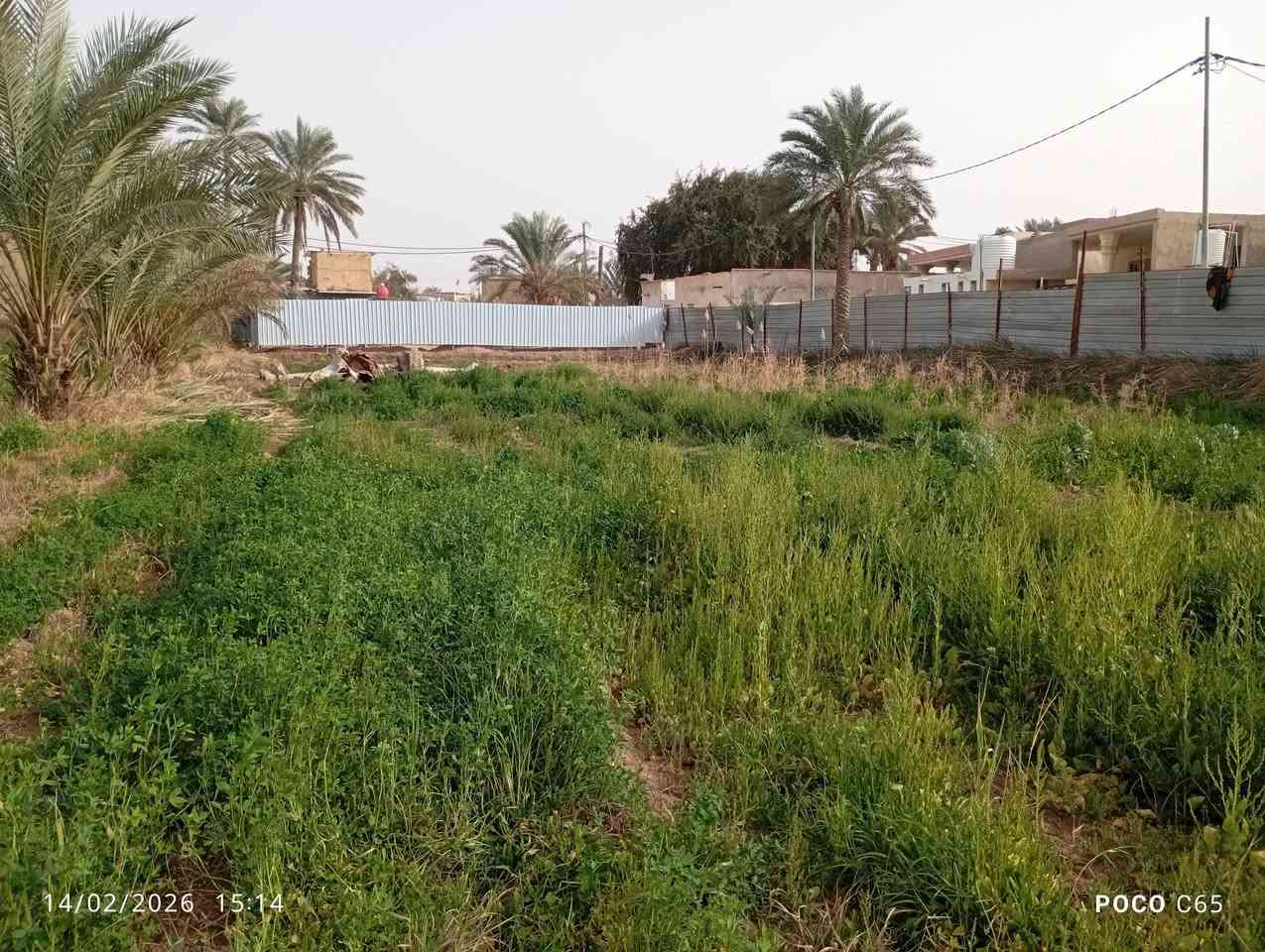 السلام عليكم ارض طابو زراعي سند 25 كربلاء اطويريج  مساحتها 1143 متر مربع تبعد عن الشارع العام ٢٥٠ متر تقريبا
سعرها 85 قابلة 
للستفسار ***********
