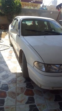 سوناتا • نظيف فول • الخالص