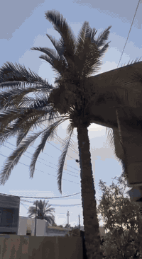 السلام عليكم دراجه pcx جيل اول ياباني محرك ١٢٥ دراجه جديده
للاستفسار ***********
