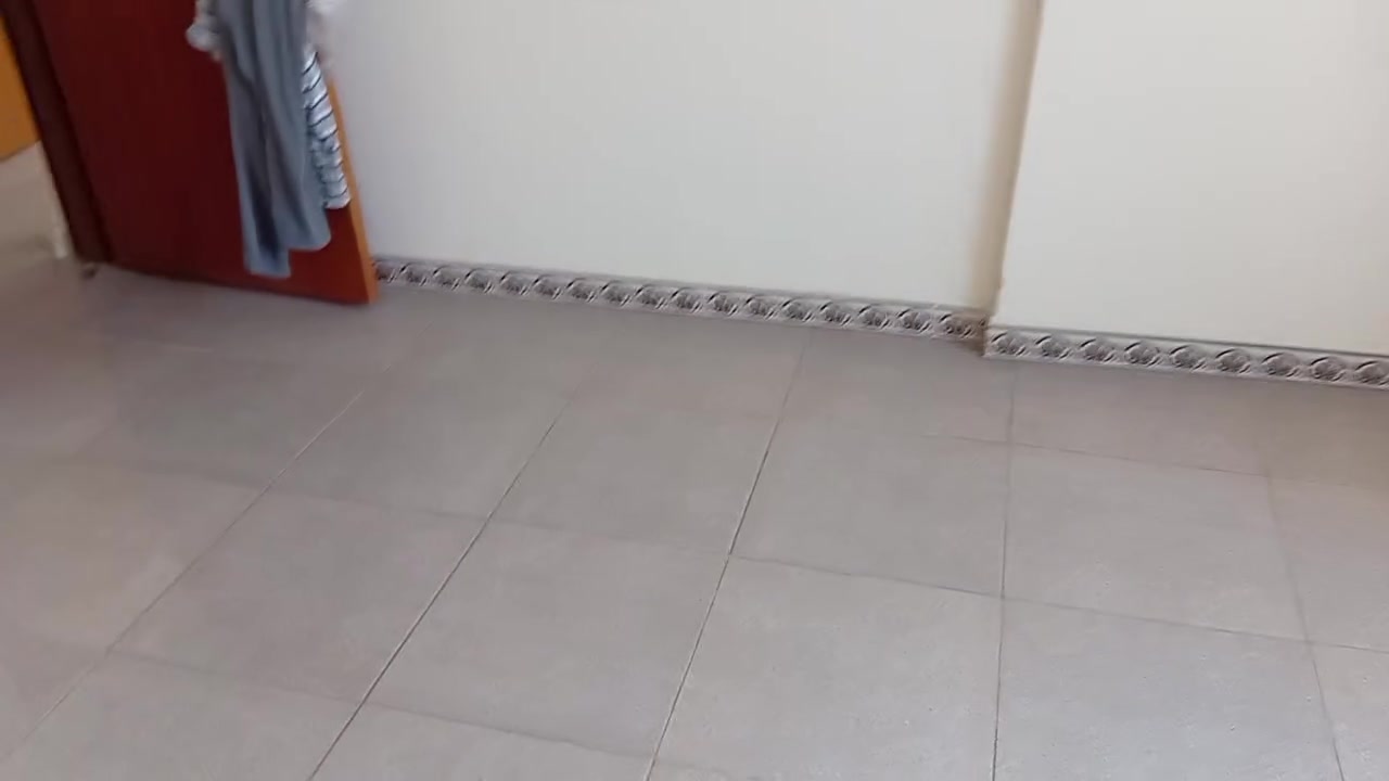 شقه للايجار ابو الخصيب السبيليات درجه اولى للايجار 450 للتواصل *********** عله الشارع العام
