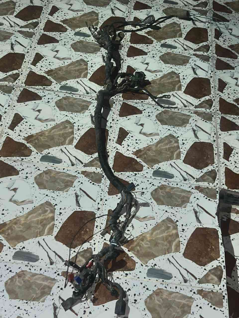 ضفيره سيبي نوزل للبيع محتاجه شويه ترتيب  لا محروكه ولا مايعه ضفيره كامله قيمه بل يرضه بي الله واخذ


**إذا كنت صاحب هذا الإعلان وتريد حذفه لأي سبب، رجاءا أرسل رسالة إلى الدعم الفني**