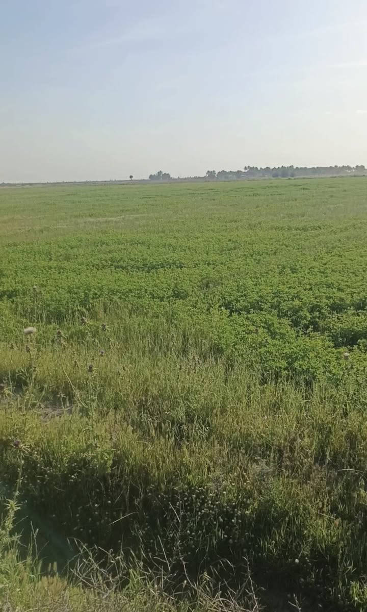 سلام عليكم البيع 50دونم سبع البور منطقت المصالحه وطجاج ماء وكهرباء متوفر عل طابو ابو غريب سند 25
***********
سلام عليكم البيع 50دونم سبع البور منطقت المصالحه وطجاج ماء وكهرباء متوفر عل طابو ابو غريب سند 25
