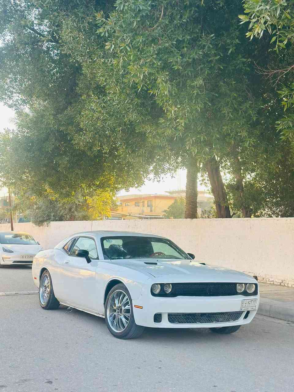 دوج جالنجر
2010
هيمي  5700
كير محرك مكفول
رقم بغداد
حادثه طخه بجاملغ الامامي وبيهه طخات صبغ عام 
قماره شواصي كفاله شرط وبدون ايرباك
صدر امامي جديد
ويل اصلي مصل كار وتخم تاير بجيس مصار شهر
بجم محدث ومنضومه زنون
فول موصفات فتحه سقف 
كشنات جلد 
جاهزه السياره 
عارضهه ١٠٠
وبيهه حك للجيه 
مكاني صويره
***********
