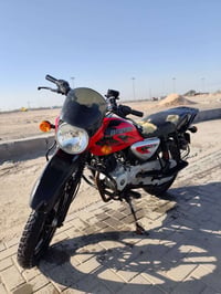 بوكسر جبلي • ٢٠٢١ • سنويه