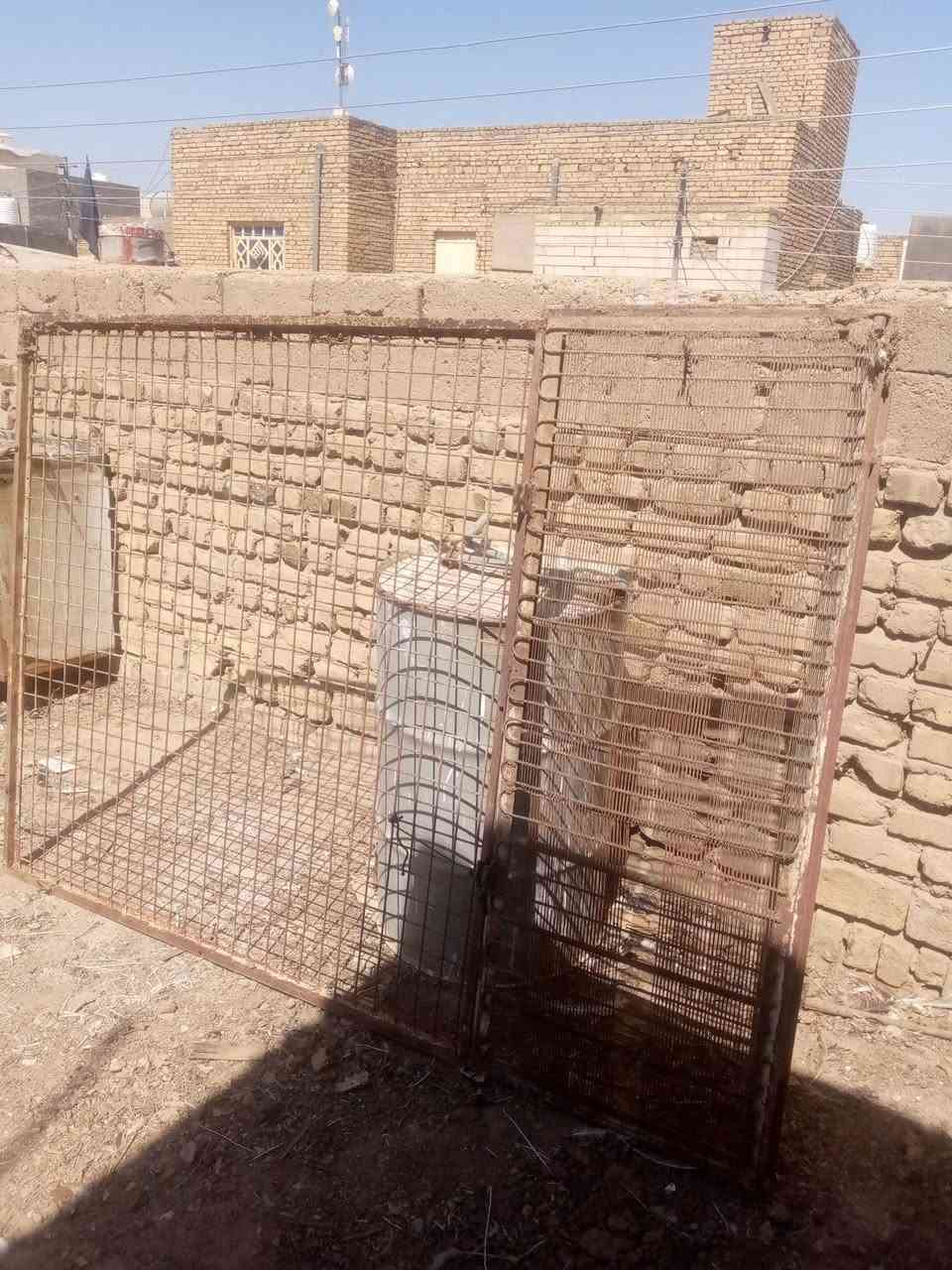 سلام عليكم واجهيه قفص حديد 1.5م × 2م حديد ثقيل ترهم قفص للدجاج أو غير شي السعر 50 الف المكان الماجديه ***********
