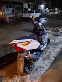 07740577570 ماكس ثعلب مزوده للبيع مكاني بغداد السعر 800وبيها مجال