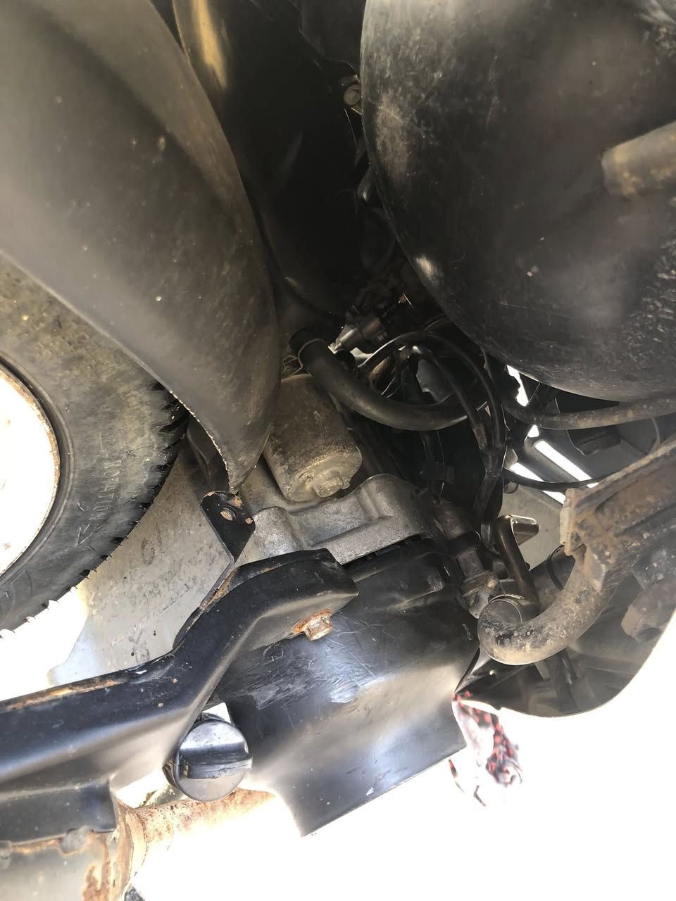 السلام عليكم دراجه ماكس منغوالي  دراجه حلوه ونضيف شوفت عينك. وبعد احله من الصور مكينه 49 مجفته جديد مكينه خرسه خير من الله لا تنقيص لا تبخير  كهربايات كلها شغله سلف هندي جاهزه من كلشي صلانصه اف ام دبلات امامي صارسبوع من شادهن تاير امامي خلفي جديد دراجه مال جني البيع او مراوس بكير سيفان


**إذا كنت صاحب هذا الإعلان وتريد حذفه لأي سبب، رجاءا أرسل رسالة إلى الدعم الفني**