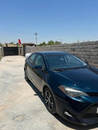 كورولا • ٢٠١٩ • رقم بابل