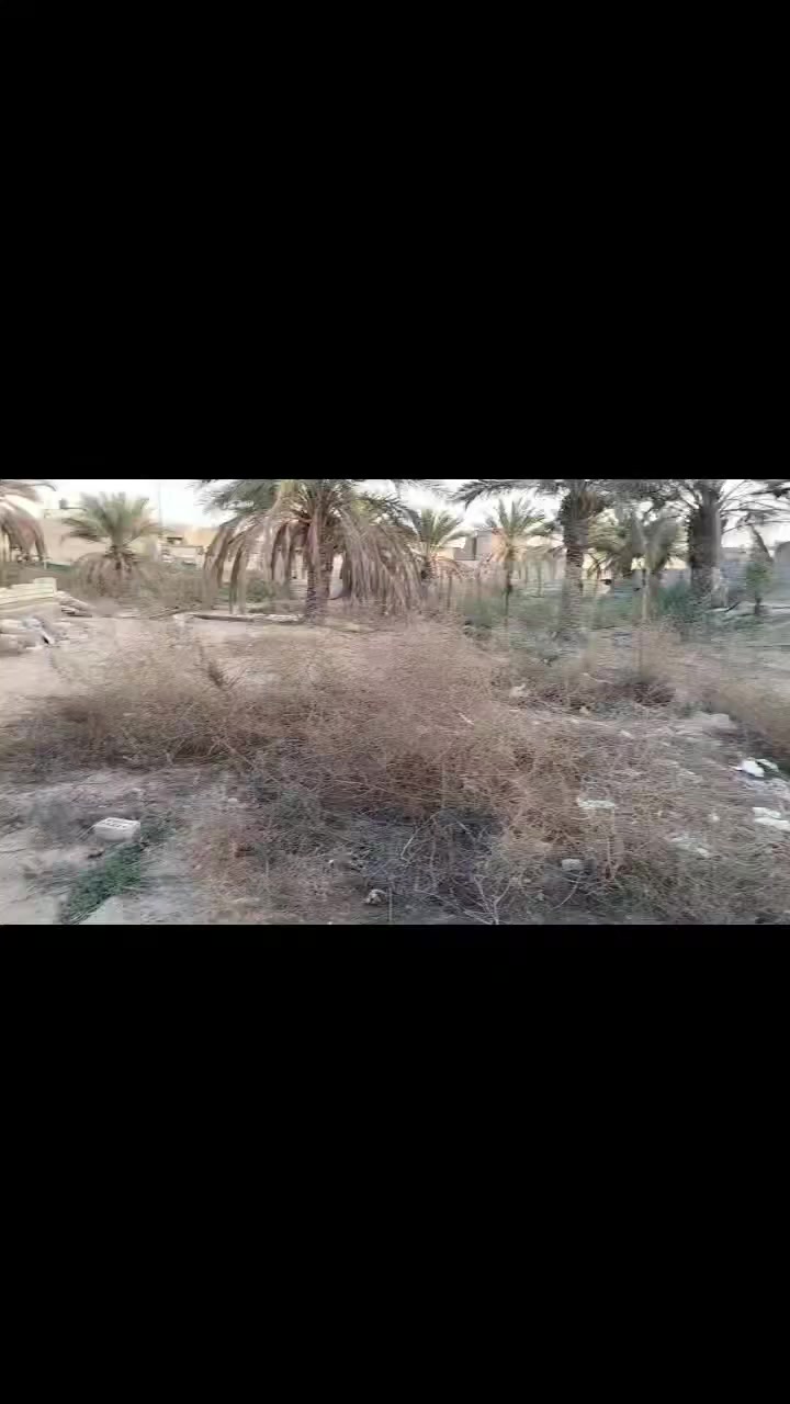 السلام عليكم ورحمة الله وبركاته أرض بمساحة ١٢٥٠ متر مربع نصف دونم واجهة ٢٥ نزال ٥٠ تحتوي على رفت بمساحة ٣٠٠ متر وتصعيد للبناء ارتفاع متر وتحتوي على ٣ دبلات طابوق العنوان: الدسيم حسينية شيخ وهاب قرب مضيف حجي هاشم المياحي للاستفسار الاتصال على الرقم الآتي:***********(أبو محمد)
الاتصال على رقم الهاتف لمعرفة سعر الأرض وشكرا.
