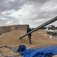 برينه حب • ناعمة • الفتحة