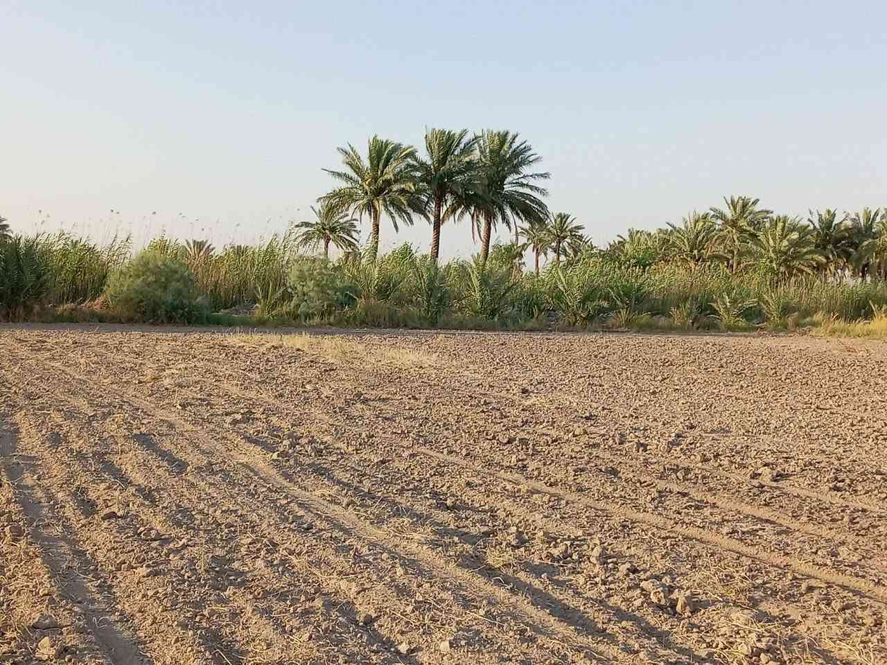دونمين أرض للبيع
▪️ النوع: طابو صرف زراعي – سند 25
▪️ المعاملة: مداور، نقل الملكية باسمي خلال يوم واحد
▪️ الموقع: العلاك – نهاية شارع البوحموسة

🔹 المميزات:
تتوفر كافة الخدمات
ماء
كهرباء
مدارس قريبة
شارع مبلط
📹 جميع التفاصيل موضحة داخل الفيديو
📩 للاستفسار ومعرفة السعر:
مراسلة الصفحة أو الاتصال على الرقم التالي:
(***********)
