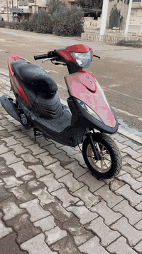 ماكس عدله بلاديه بلاديه بيهه وياله وقبق فلاوين و تعلاكه وستان وشتوته اربعه وكلجات رياضي مكفوله كفر و مكينه السعر 850وبيهه مجال للستفسسار***********
