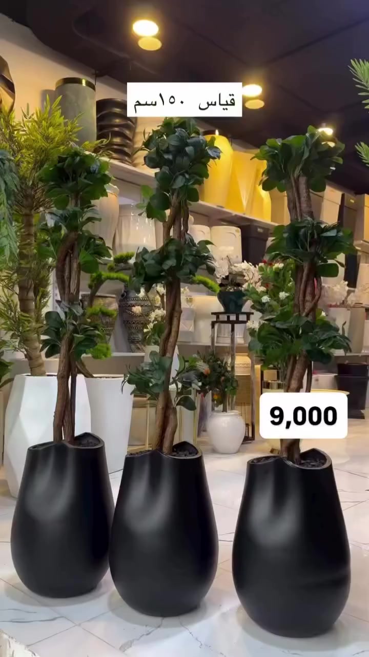 .


**إذا كنت صاحب هذا الإعلان وتريد حذفه لأي سبب، رجاءا أرسل رسالة إلى الدعم الفني**