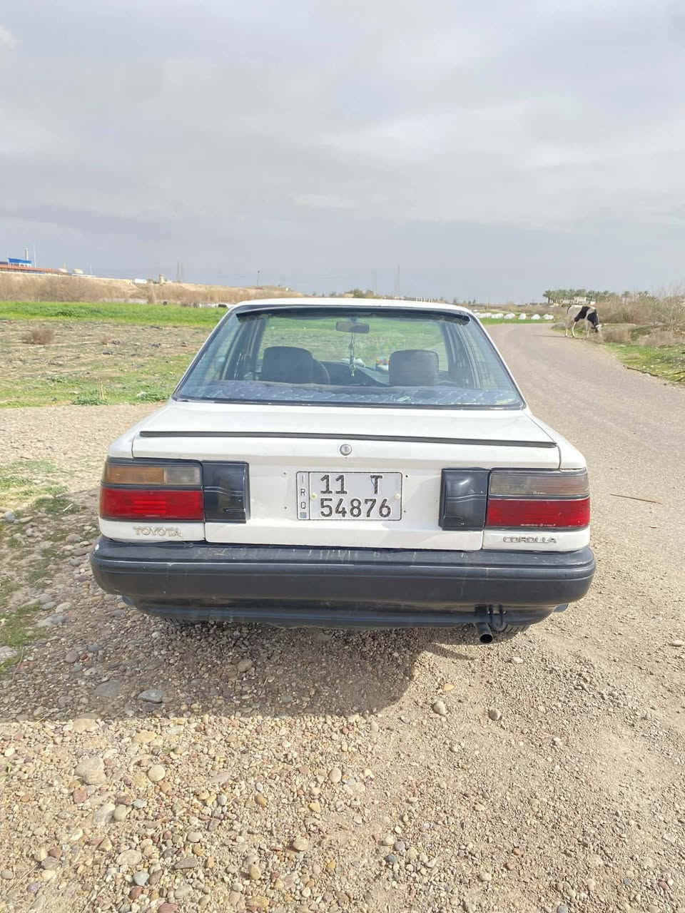 كورولا للبيع رقم بغداد دولي سياره جاهزه تراي للبصره السياره مسبوقه حزام سياره شرط تحويل مباشر السياره جاهزه صدر كير محرك كله جديد موديل 91 السعر خاص ***********
