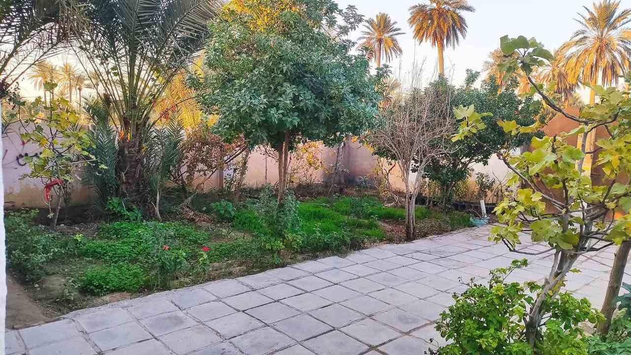 السلام عليكم
قطعة أرض للبيع طابو اسود بستنة المساحة دونم(2500  متوفر جميع الخدمات المكان الرميثة منطقة الصويحية ؟

#للاستفسار ***********
