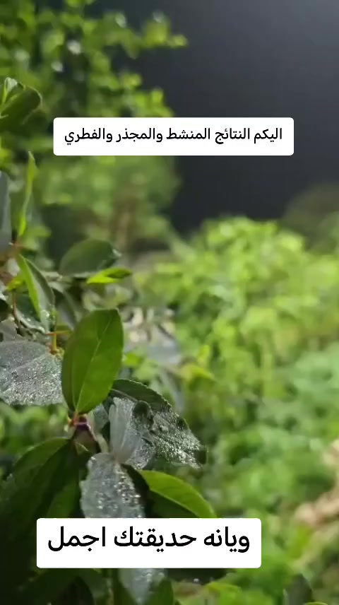للحجز والاستفسار مراسلتنا على الخاص فقط
يوجد توصيل الجميع المحافظات


**إذا كنت صاحب هذا الإعلان وتريد حذفه لأي سبب، رجاءا أرسل رسالة إلى الدعم الفني**