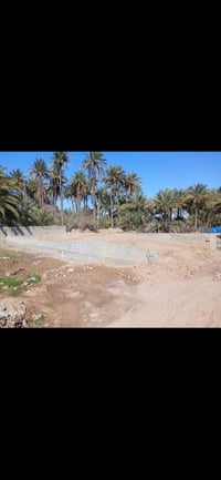 بتلو زراعي • ٢٠٠م • حواش البزانية