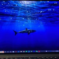 Dell 5560 • i7 جيل 11 • شاشة 4K تاتش