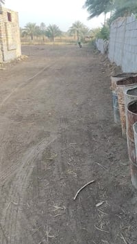 الشمامرة • ٥٠٠م • طابو زراعي