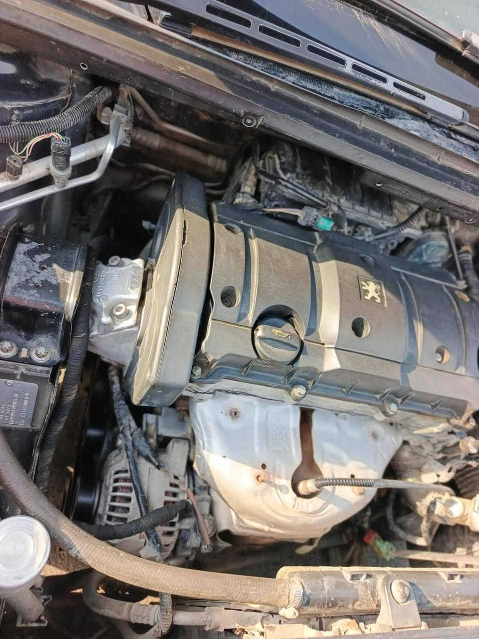 السلآم عليكم سيارة مكفولة للبيع بيجوا 307فرنسي موديل ٢٠٠٤ رقم بغداد مشروع وطني فقط تجديد كاملة مكملة النواقص فقط تبريد بابل القاسم 
الرقم ***********
