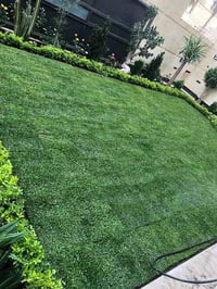 ديكور بيت • حديقة • تزيين داخلي