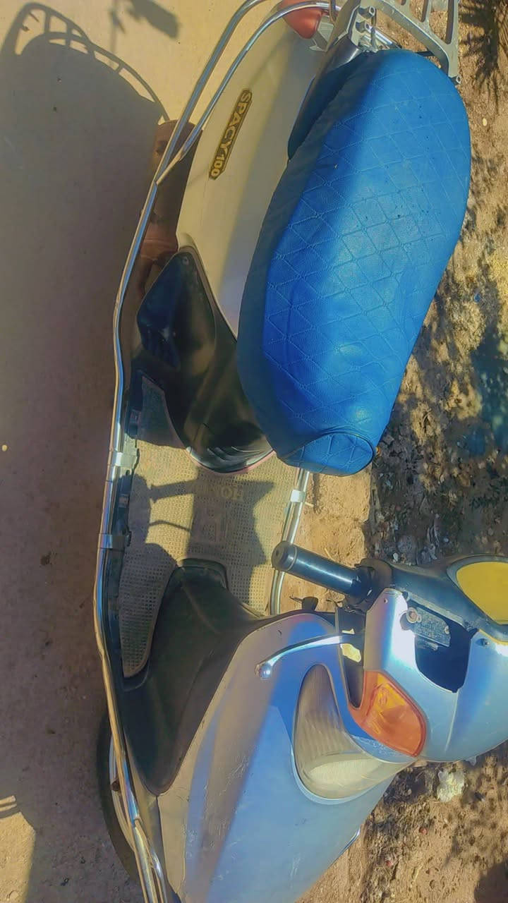 السلام عليكم سبيسي ماليزي للبيع سعرها 250 استوها مجفته الدراجه مكان الشارع النفط كوت شراي راسلني خاص


**إذا كنت صاحب هذا الإعلان وتريد حذفه لأي سبب، رجاءا أرسل رسالة إلى الدعم الفني**