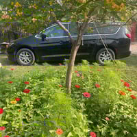 فويجر LX • ٢٠٢٣ • حادث مصلح