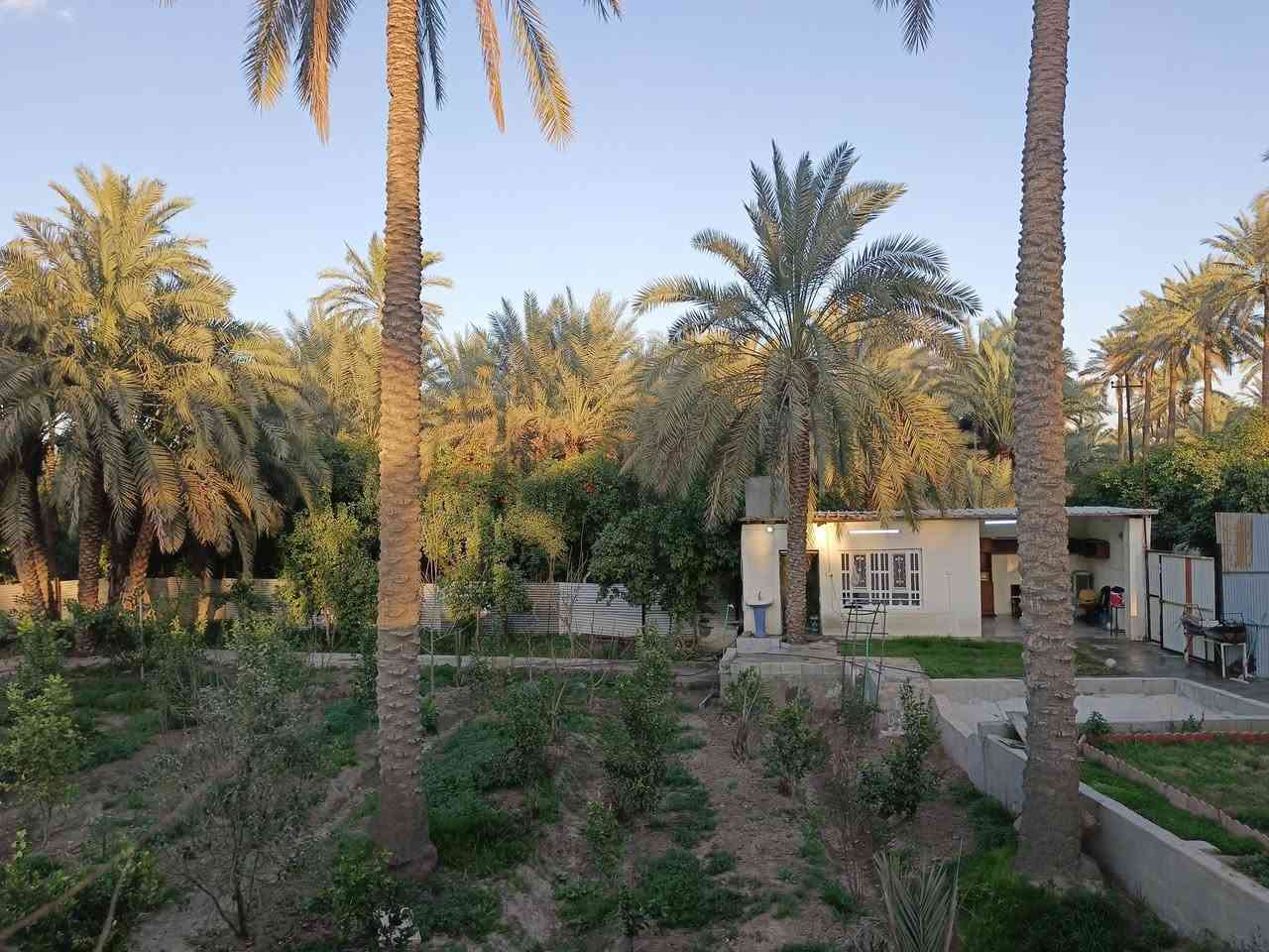 🌴 مزرعة للبيع أو المراوس 🌴
📐 المساحة: 1000 متر مربع
📍 الموقع: ركن مميز على شارعين
✨ فرصة ممتازة للاستثمار أو السكن ✨
📞 للتواص.. ***********..
