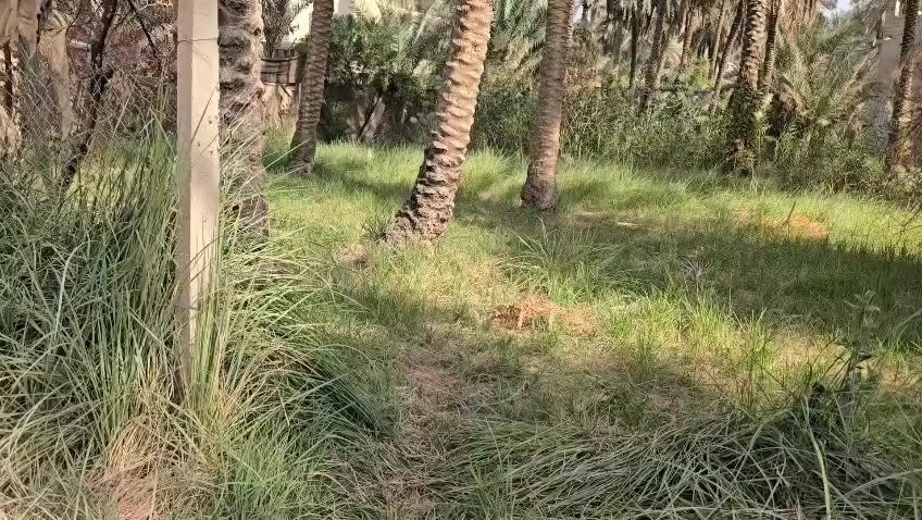 اللهم صلي على محمد وال محمد بستان  اللبيع بسعر جدا مناسب مساحه 1060 متر واجه 22 متر والباقي نزال طابو سند 25 قرار محكمه من صاحب السند مباشر العنوان كربلاء شارع الحافظ بالبدايه من جهة شارع السيده زينب الكبرى يبعد عن الشارع العام ٢٠٠متر منطقه جدا راقيه يبعد عن الامام تقريبا ٣ كيلو ونص الاستفسار اتصل واتساب *********** *********** ***********
