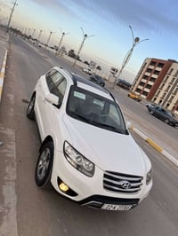 سنتافي • ٢٠١٢ • رقم اربيل