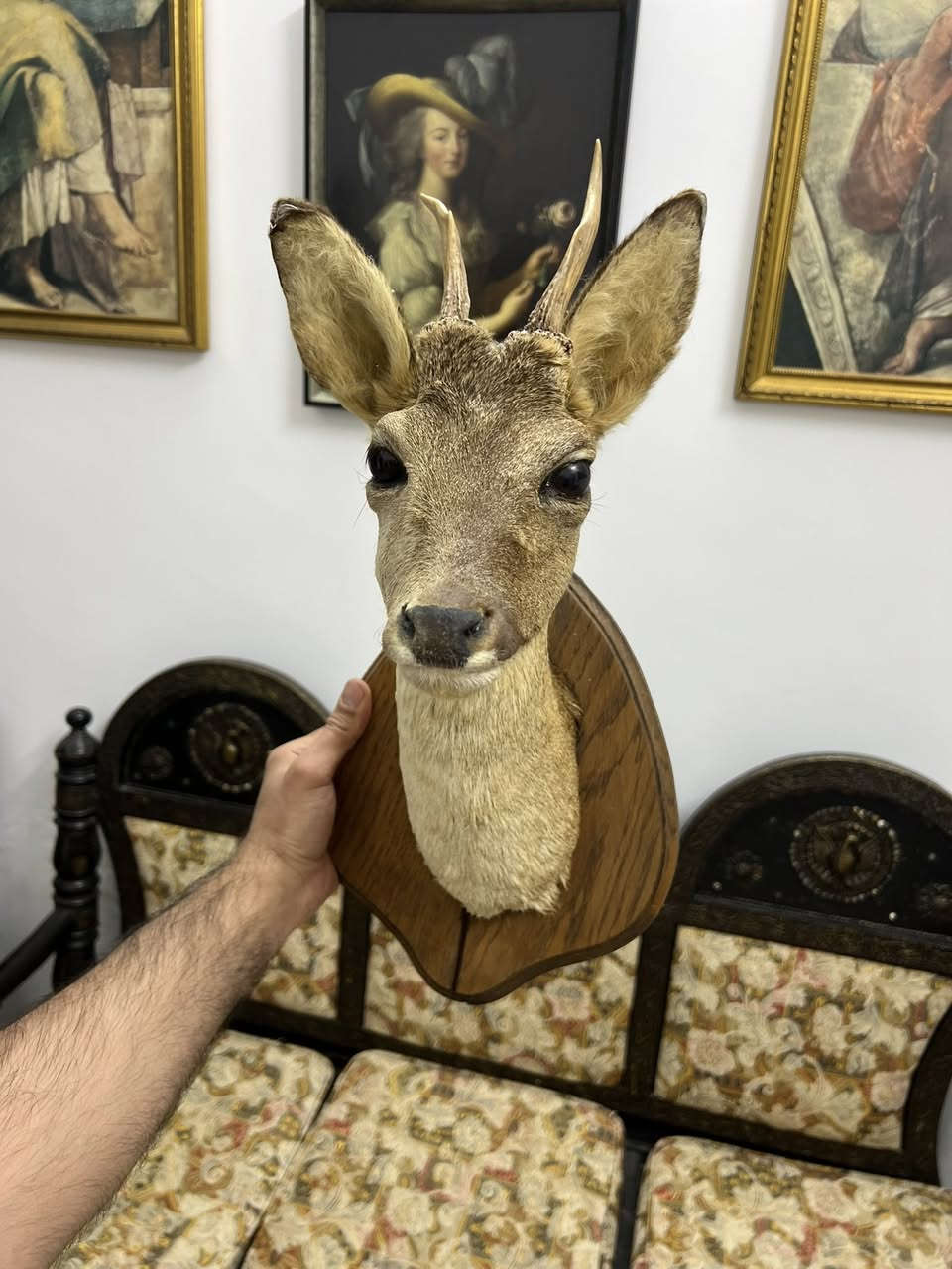 تشكيله انتيكات وتحف ونوادر 
*العنوان:بغداد الكسره قرب ملعب الكشافه داخل السوق الشعبي 
*للحجز والاستفسار عن الاسعار يرجى التفضل على الخاص ومراسله الصفحه او الاتصال على الرقم. ***********
*يوجد توصيل الى كل محافظات العراق 
*يرجى التاكد من الطلب قبل مغادره المندوب
#antique #انتيكات #تحف #نوادر #راديو اثاث كريستال زوالي كلاسيك
