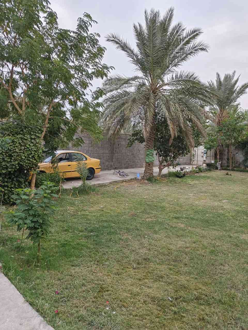 للبيع المستعجل ومناسب جدا قطعة ربع دونم 650م مع بيتين في كربلاء الرشيدية سند 25 قرب اسواق علي الطائي عن الشارع التبليط 100م فرع ابعرض 8  السعر 125 للاستفسار *********** / *********** نستقبل جميع العروض في كربلاء
