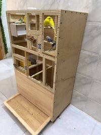 قفصين • طيور • للبيع