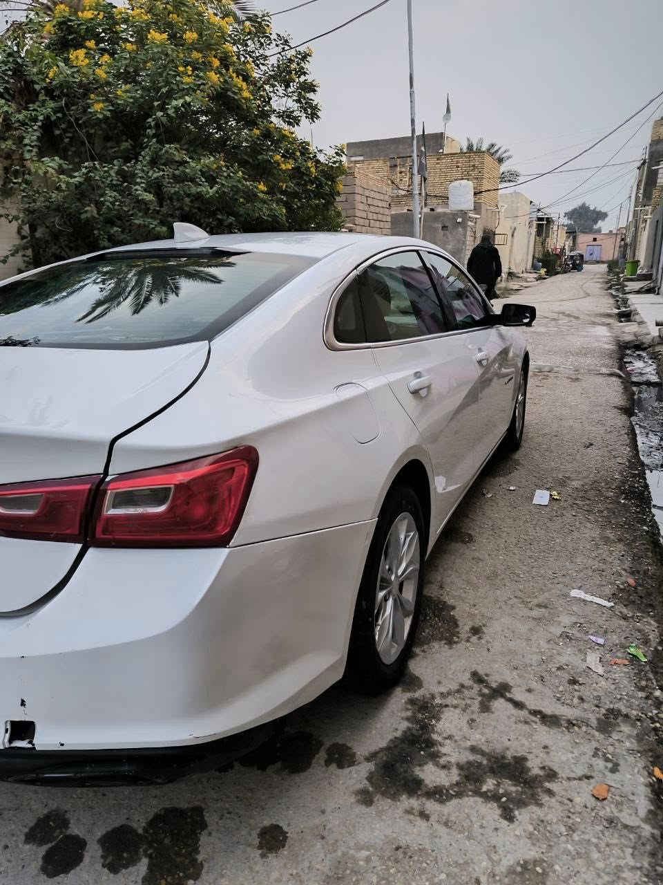 سلام عليكم 
ماليبو 2023 للبيع LT 
ضربتها قبق صندوگ مبدل ومصبوغ وشبر بالجاملغ 
رقم بغداد معوقين 
السيارة مكينة گير حدادية كهربائيات كلها جاهزة 
رايدها 142 وبيها مجال 
مكانها ذي قار سوق الشيوخ 

‭0783 823 3214‬
