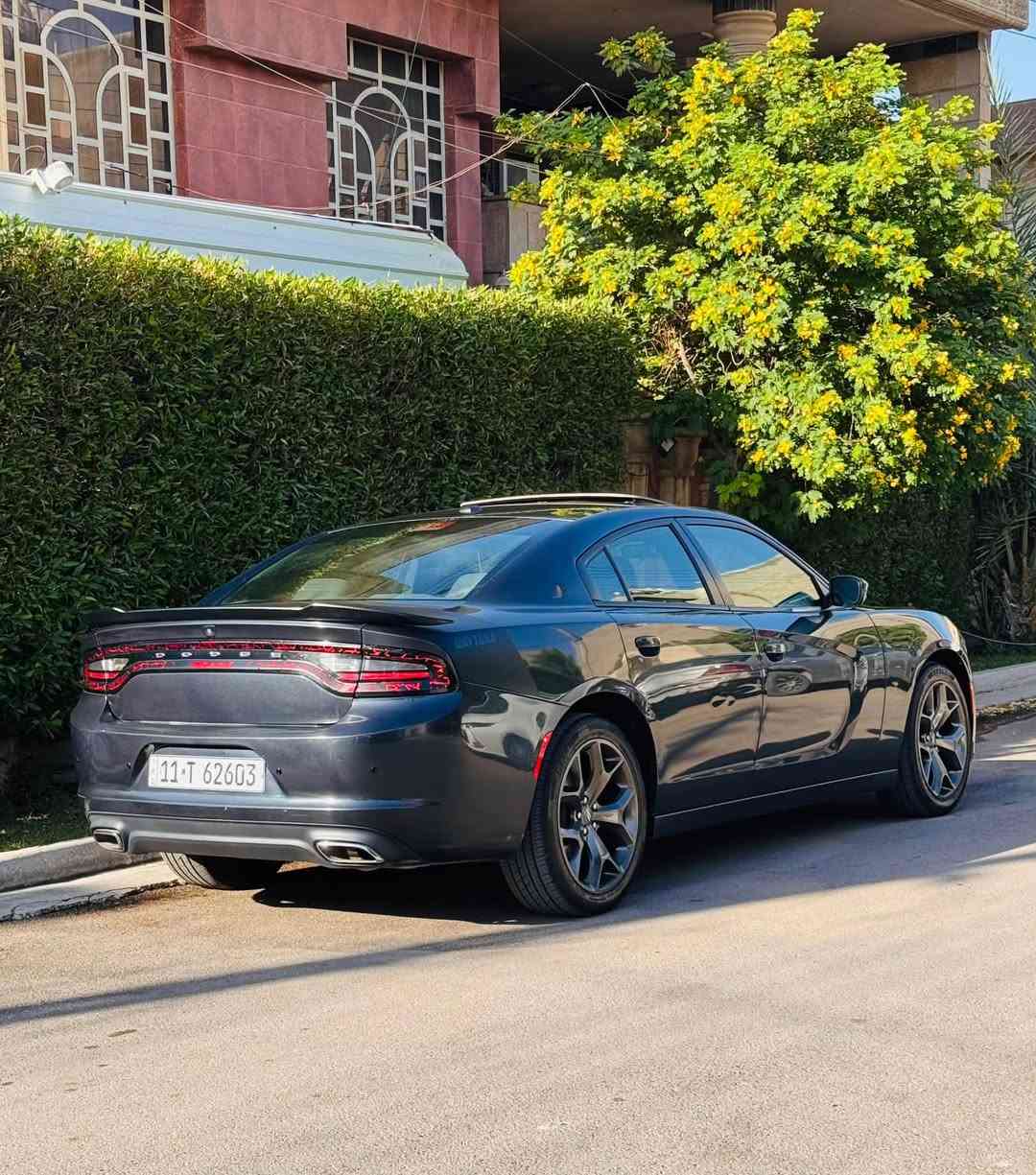 السلام عليكم
( رقم بغداد سنويه بسمي)
للبيع جارجر 2019 اصل SXT فول مواصفات وارد امريكي حادثه جاملغ وصندوك بدون ايرباك صور الحادث ورقم الشاصي مرفقه بلمنشور
المواصفات:- سلايد-كرسي كهرباء-كشنات حضن-ويل 20 وبعد المواصفات المعروفه
تخم تاير قبل شهر شديته وصدر امامي خلفي جديد سياره مابيه اي نقص
ماشيه 70 الف 
مكاني بغداد المنصور
السعر 205 ورقه وبيه مجال
***********

