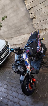 سكنس جبلي • فول تزويد • كفاله عامه