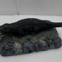 تمساح • ٤٠سم • شغال