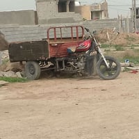 ستوتة للبيع تفاصيل على هذا الرقم 07775525365