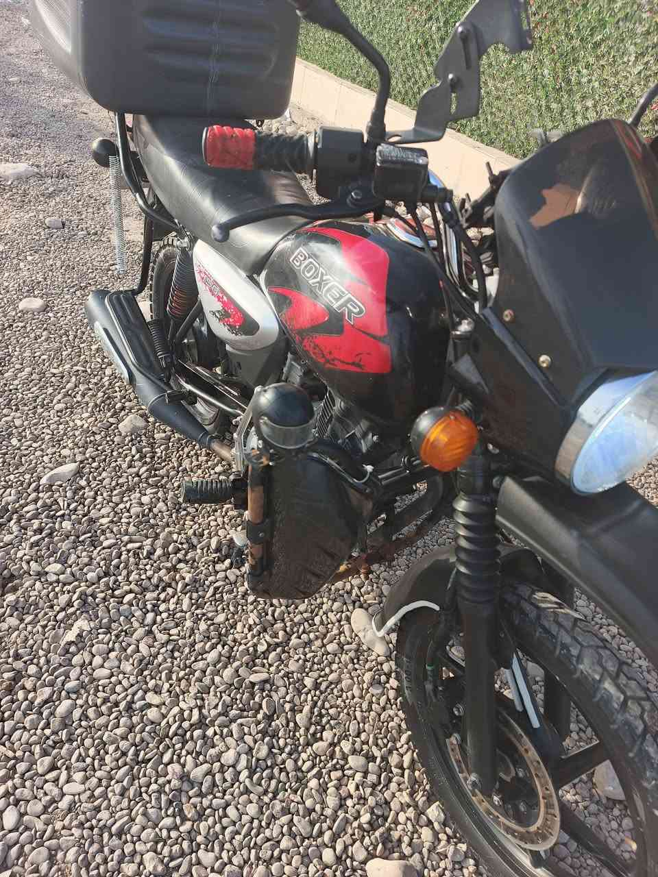 سلام عليكم بوكسر موديل 2023
مرقم بغداد ثاني يوم تحويل محرك ما مفتوح جيب وياك فيتر وفحص مكان بغداد ابو غريب رايد مليونين وخمسميه وبيه مجال قليل *********** كلشي شغال بيه
