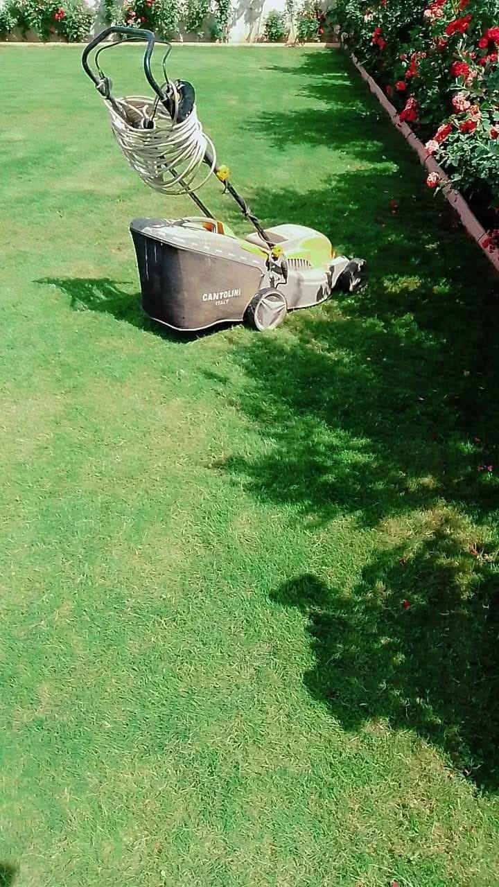 حديقجي في اربيل + تصميم وترتيب ديكورات
زرع حدائق + أدامه شهريه+ زرع اشجار + تقليم الأشجار +قص ثيل 

تنظيف وترتيب الحدائق + قلب وتنظيف تربه ترتيب +

تبديل تربه + ترتيب سياج الحدائق بل الملون 

ترتيب اطارات الحدائق بل حصو الملون الاستفسار 

واتساب ***********
