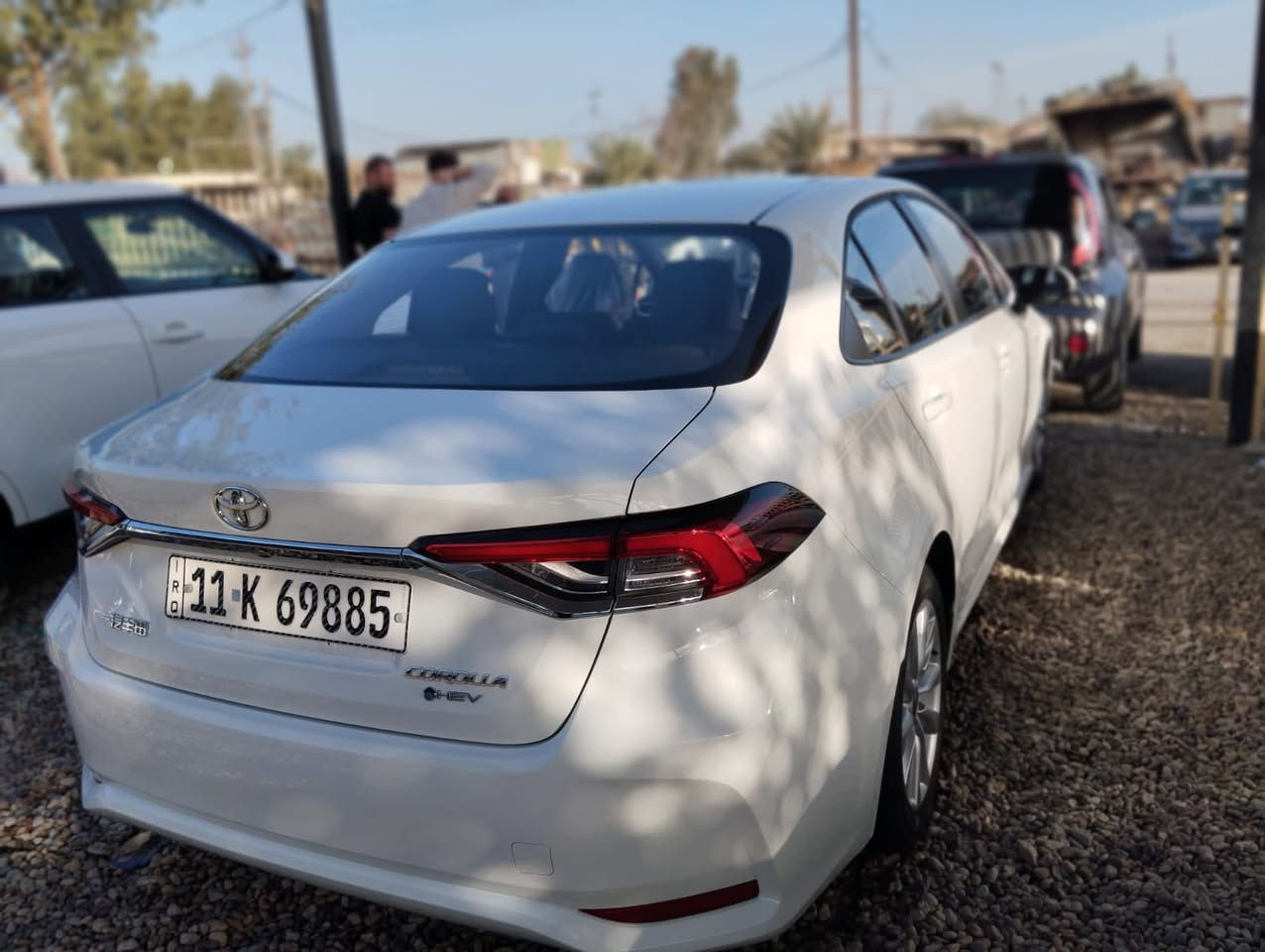 كورلا خليجي 25مكفولة ماشية 26فول مواصفات بغداد بسمي السعر 155 مراوس حسب القناعة مكاني كربلاء ***********
