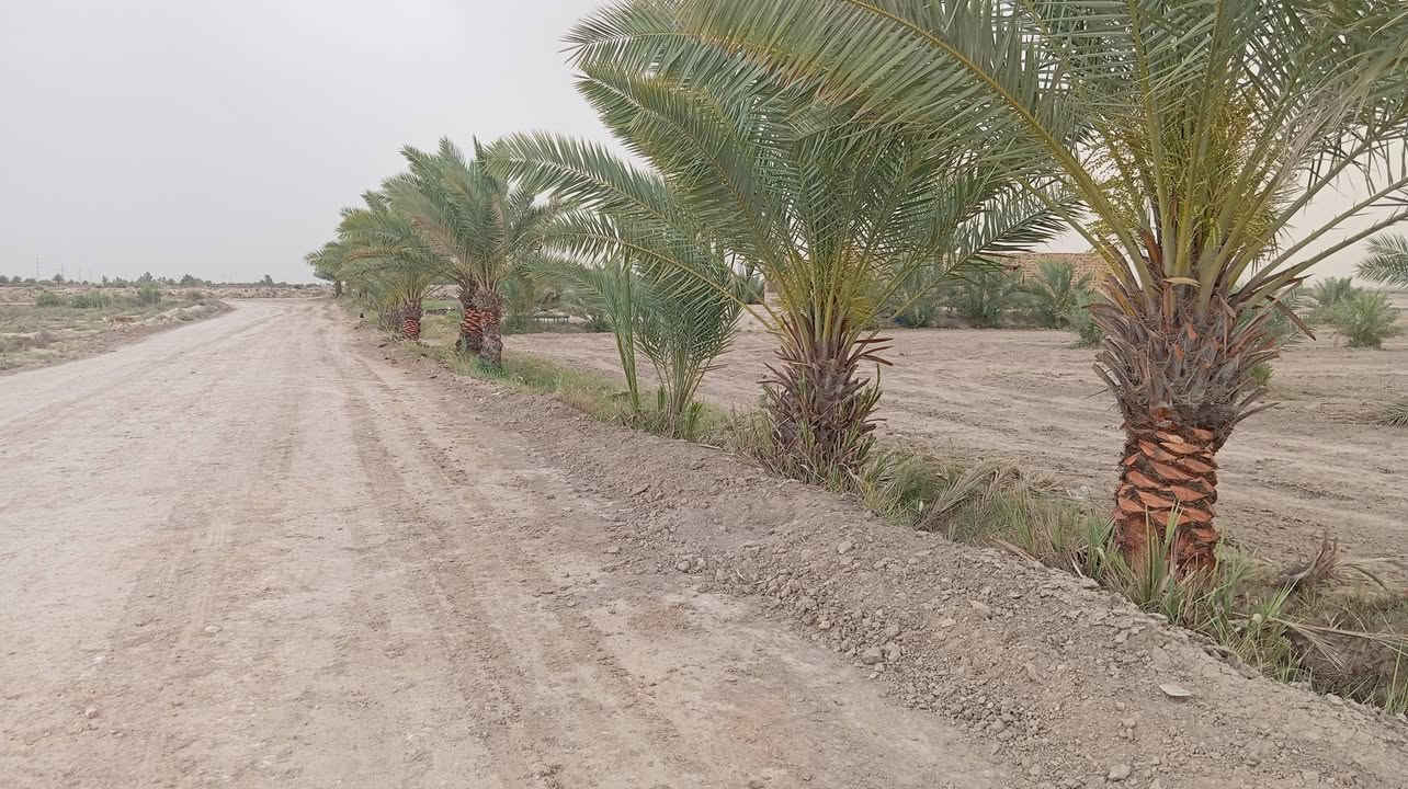 السلام عليكم ارض زراعيه 10دونم متكونه من بستان وبيت هيكل متكون من 3غرف 
مع صاله مع مطبخ حار وبارد مع صحيات داخليه مع صاله 

مع مضيف  

السعر 90 وبي مجال 

غير متواجد على الخاص 

اتصل على الارقام التاليه 

***********

***********
واتساب فقط
