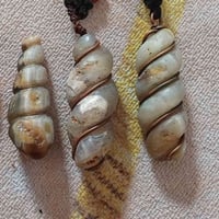 لوي نباعي • قديم • اصلي