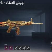 حساب ببجي • مستوى ٦٧ • أسلحة تطوير ١٥