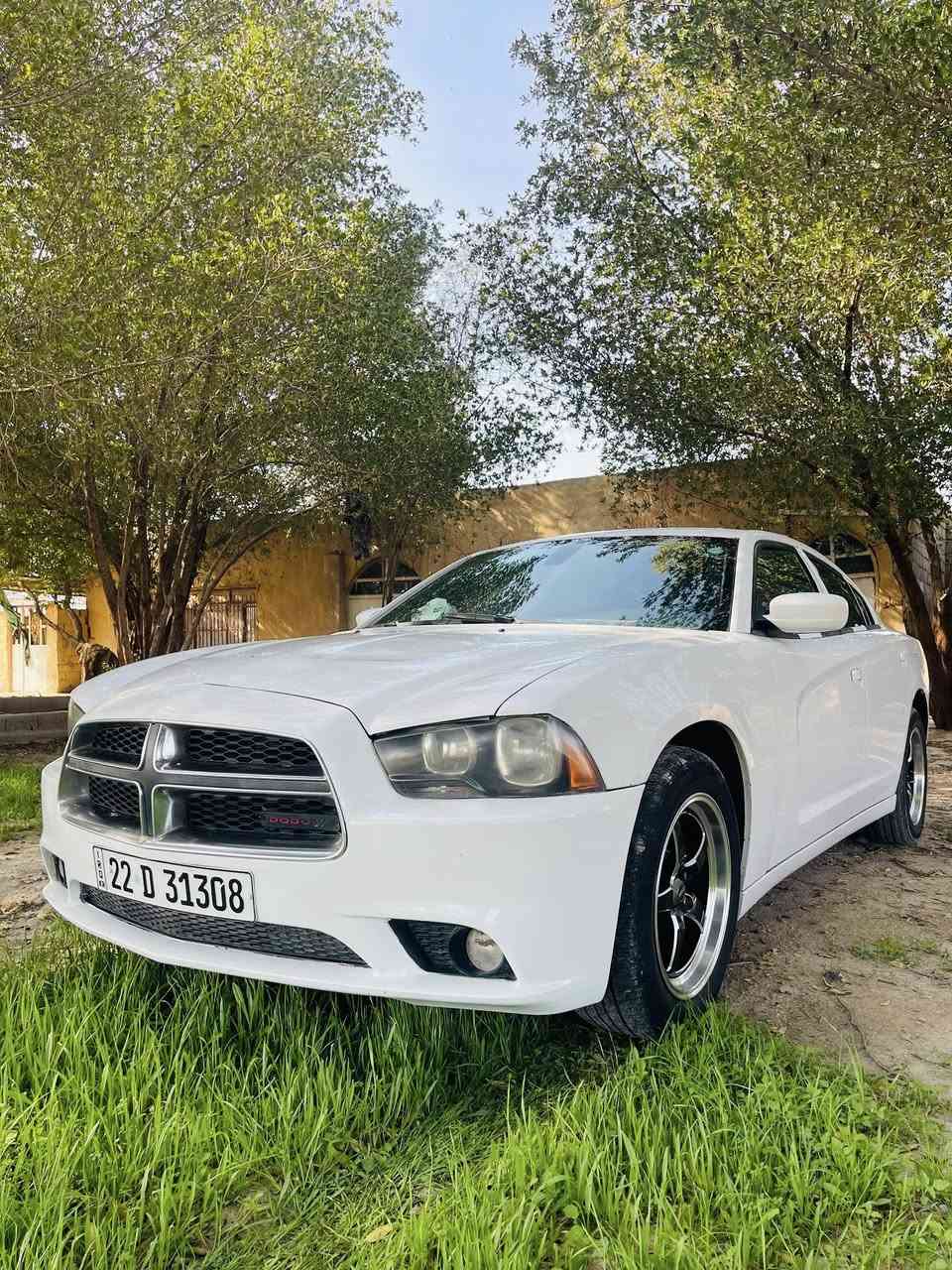 السلام عليكم
جارجر موديل 2011 أمريكي رقم أربيل انكليزي 

بيهااا بنيد فقط بدون إرباك بدون دواخل السيارة كلش حلوه ومرتبه منضومه مال زنون 

السياره جاهزه السعر 133 وبيهااا مجال 

العنوان بابل شوملي 

الانتصال ولا ستفسار 

***********
