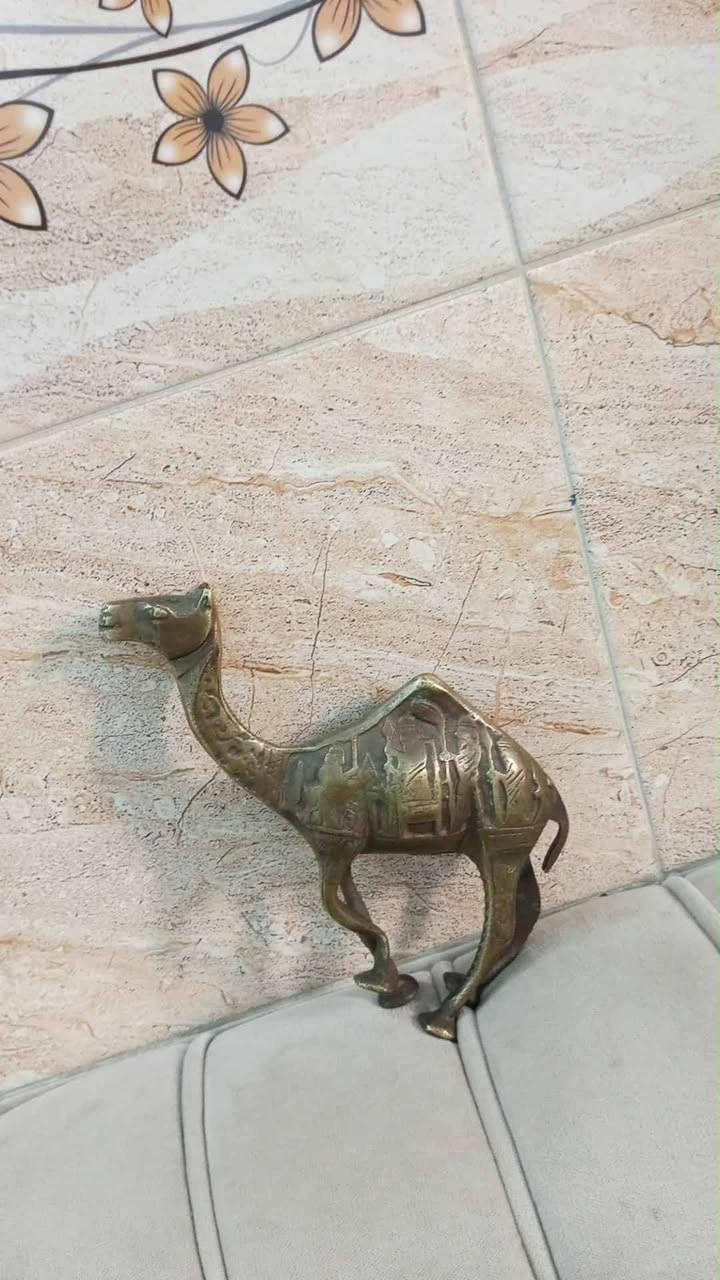 جمل نحاس حجم كبير سعرو 25 الف


**إذا كنت صاحب هذا الإعلان وتريد حذفه لأي سبب، رجاءا أرسل رسالة إلى الدعم الفني**