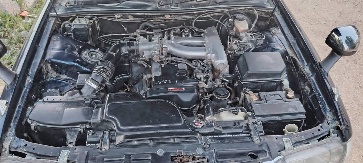 السلام عليكم للبيع راس الثور تكم الاستفسار عله الرقم ***********
