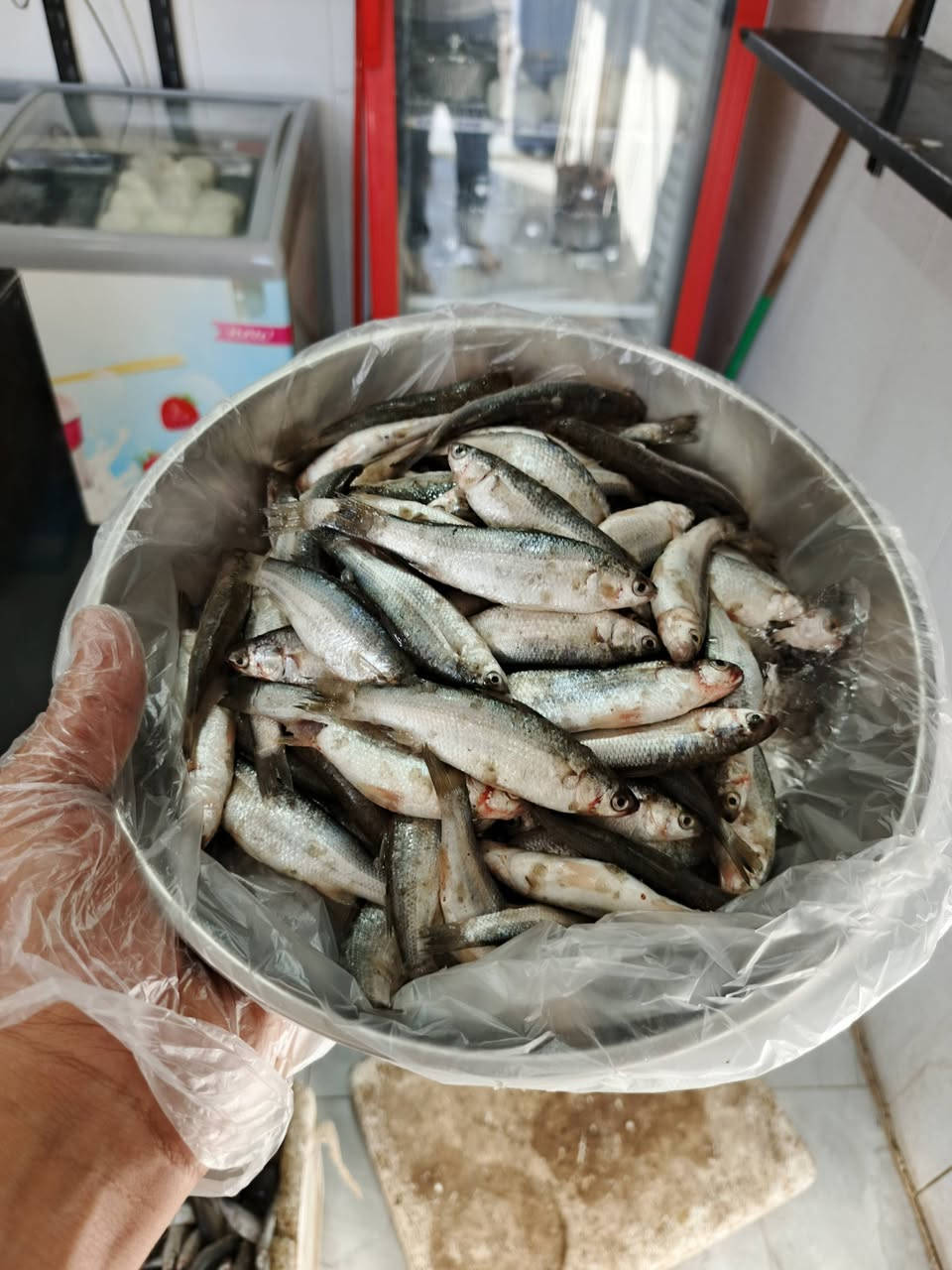 حرش كيلوين ب 8 
الكيلو ب 4 
عمي لحكو عرض الجمعه هاذه حرش مال صيد امانه مو مستورد 
الحجز مفتوح حاليا 
توصيل اكو  
توصيل اكو
***********
*********** واتساب
العنوان الديوانية سوق العروبه مقابل صيدليه الغيث الفلكه النافوره طرشي رمانه قرب مأكولات المصلاوي
